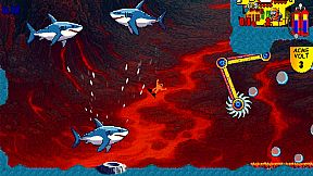 Shark's Treasures Adventure