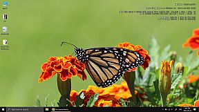 Video 2 Live Wallpaper