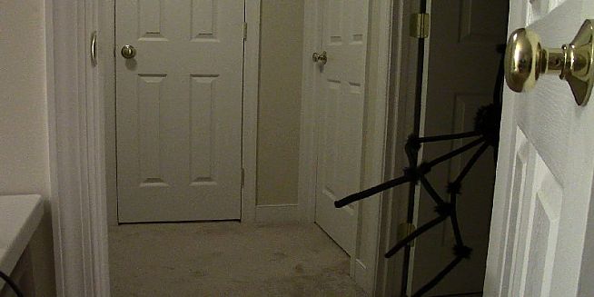 One Night Two Crazies