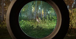 theHunter: Call of the Wild - Revontuli Coast