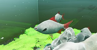 Fish Game - Indonesia Fish Pack 1