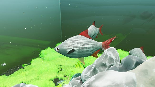 Fish Game - Indonesia Fish Pack 1