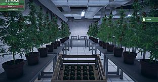 Weed Supermarket Simulator