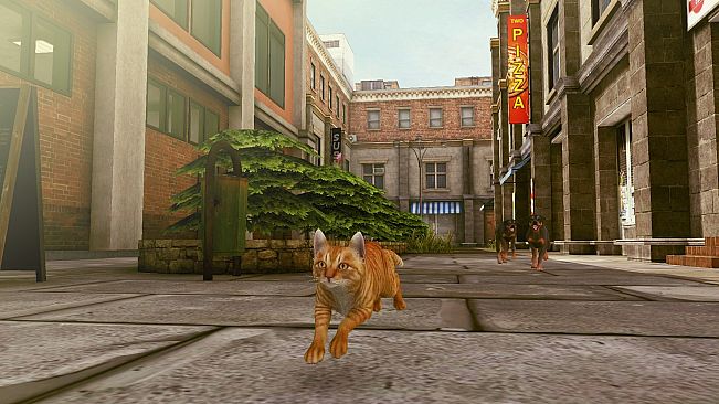 Little Strays 2: Cat Rescue