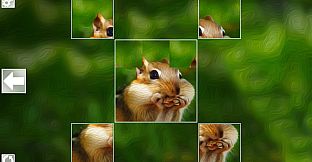 Puzzle Art: Rodents