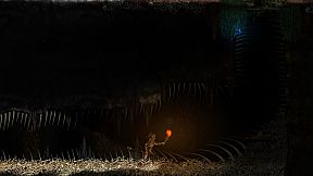 Fire in the Beastlands