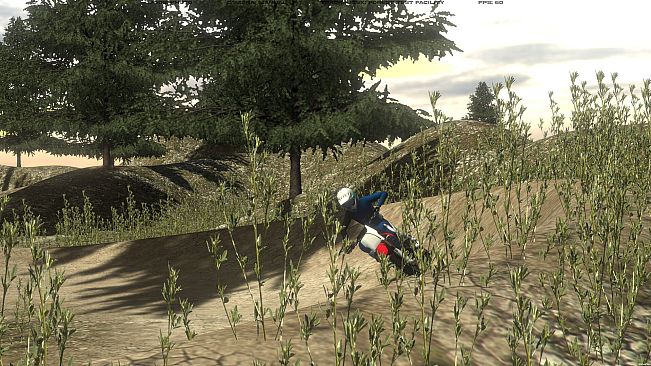 Motocross The Force