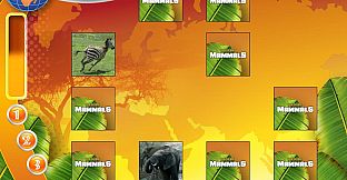 Wildlife Creative Studio