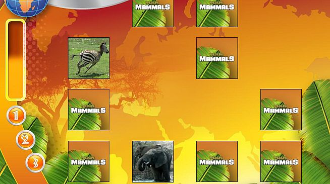 Wildlife Creative Studio