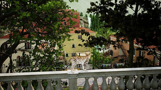 Curiosity: A Cat Climbing Game