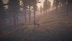 Legacy: the last pure heart