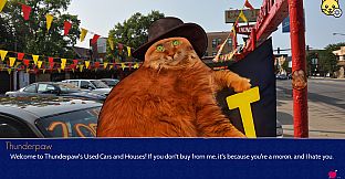 Cat President: 3rd-Rate Candidate