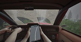 Rally with a Friend