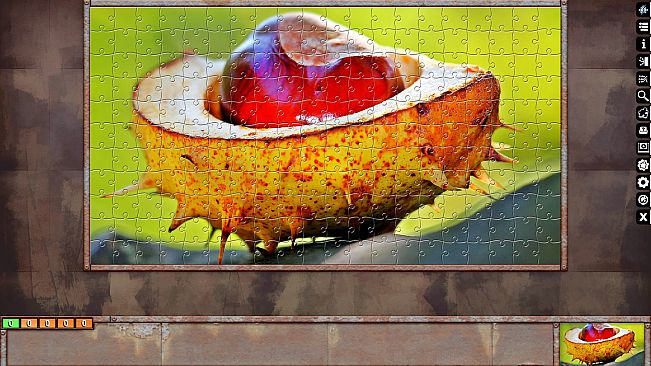 Jigsaw Puzzle Pack - Pixel Puzzles Ultimate: Macro