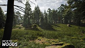 Out of the Woods