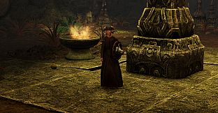 Swordhaven: Magus Tower Pack