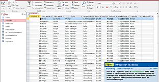 Professor Teaches Access 2016