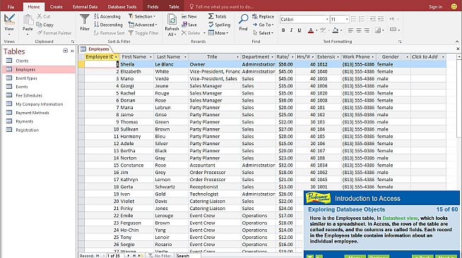 Professor Teaches Access 2016