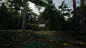 Kingdom of Poland: 1410