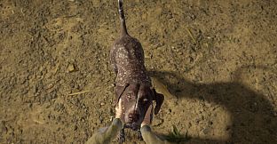 theHunter: Call of the Wild - German Shorthaired Pointer