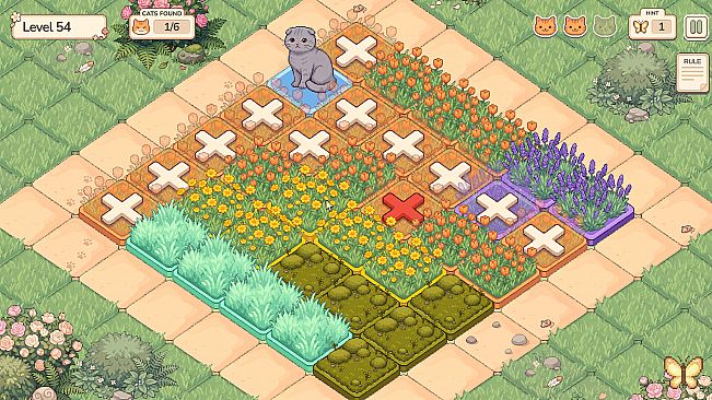Purr in Bloom