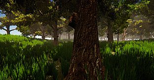 Uncanny Islands