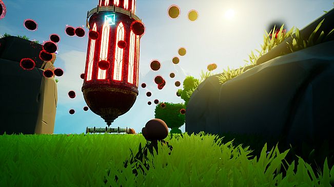 A Monkey's Adventure