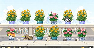 Bloom Cats