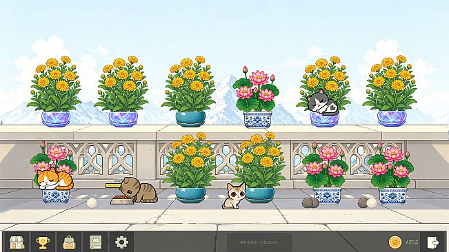 Bloom Cats