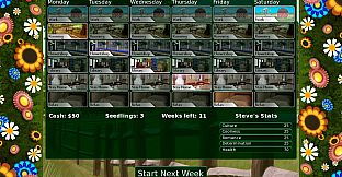 Flower Shop: Summer In Fairbrook