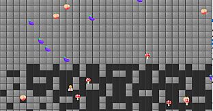 What Could Go Wrong?