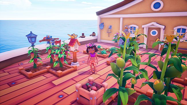 Collector's Cove - Summer Pack