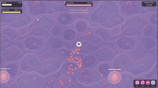 Immunity