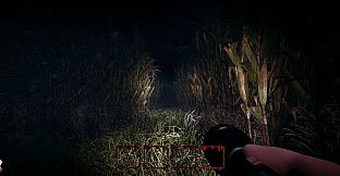 Hog Hunt