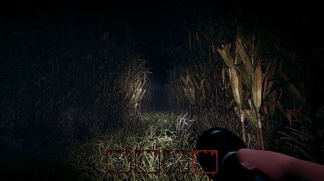 Hog Hunt