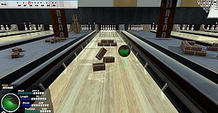 Bowlers : The bowling experience