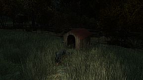 The Cows Are Watching