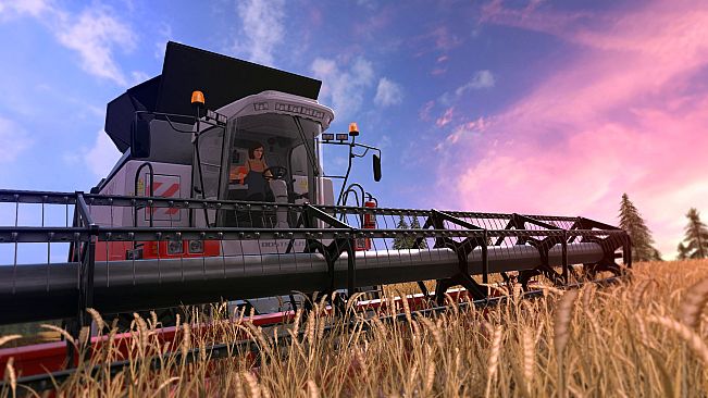 Farming Simulator 17 - Windows 10