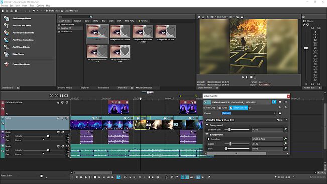 VEGAS Movie Studio 17 Platinum Steam Edition