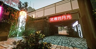 NearPrime VR - Net Burn