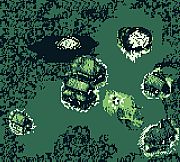 My Final Cursed Days