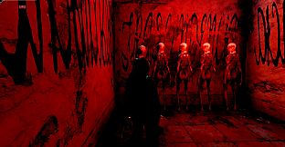 Injection π23 NNNN Expansion Events