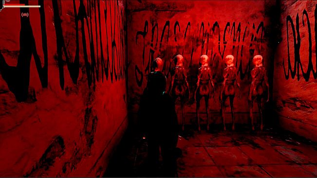 Injection π23 NNNN Expansion Events