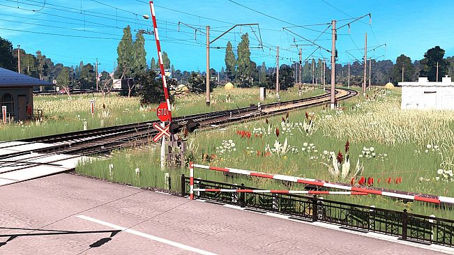 Trainz Plus DLC - [TL] Pivdenni Stepy - UZ