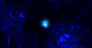 Forced Sacrifice: HEJLED Unlock All DLC