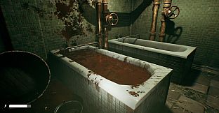 The Land of Shadows : Asylum