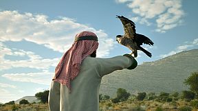 Enter Falconry