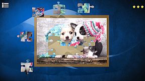 Puppy Dog: Jigsaw Puzzles