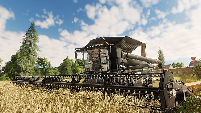 Farming Simulator 19 (Windows 10)