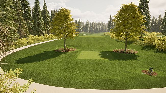 Playa Golf
